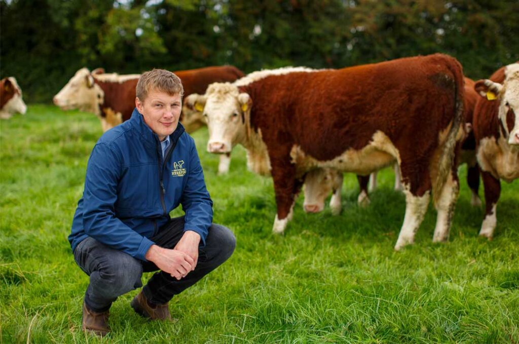 Leading the Herd - Irish Hereford Prime Stamps its Mark on Premium Beef