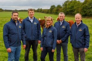 Leading the Herd - Irish Hereford Prime Stamps its Mark on Premium Beef