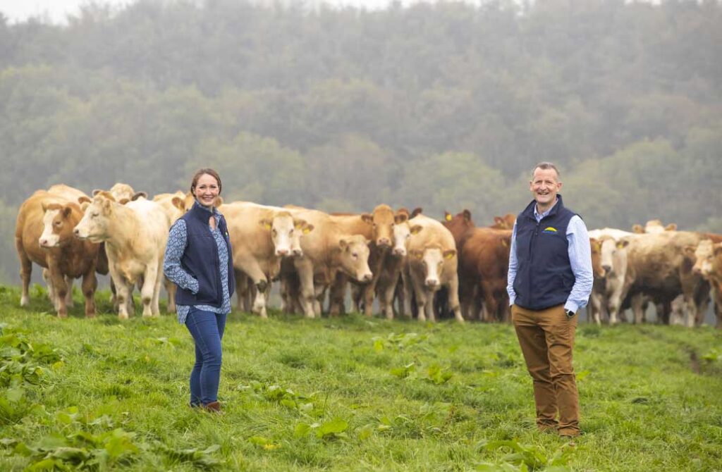 Dawn Meats to invest €100m in Net Zero climate commitment