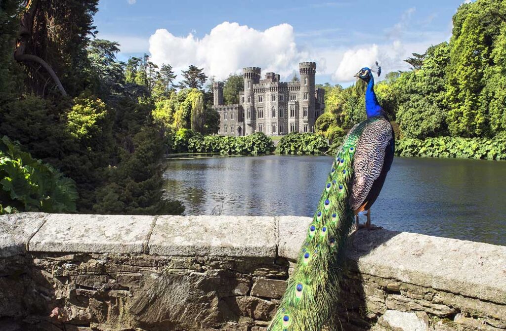 Never-Before-Seen East Wing of Johnstown Castle, Wexford