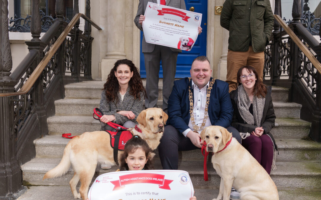 AADI’s Failte Programme: Paving the Way for Autism Accessibility and Equality